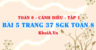 Bài 5 trang 37 SGK Toán 8 tập 1 Cánh Diều